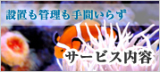 熱帯魚・水槽のレンタル・メンテナンスを行う会社アクアデザイン福岡のサービス内容