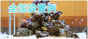 全国設置例